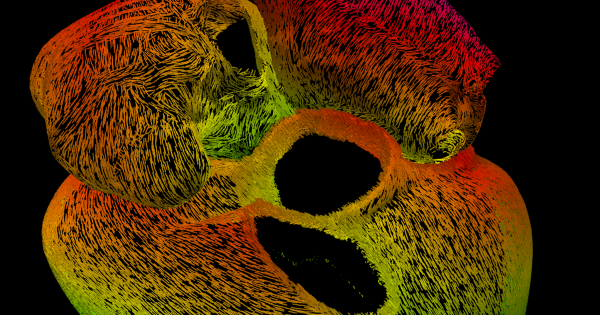 Technicolor map of heart signals wins BHF scientific image contest